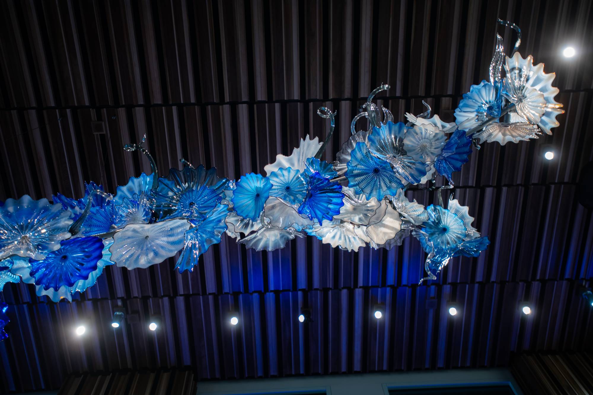 white and blue fan-like forms suspended from the ceiling